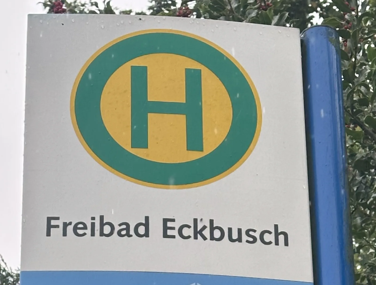Das Haltestellenschild „Freibad Eckbusch“ mit dem grün-gelben H der Wuppertaler Stadtwerke